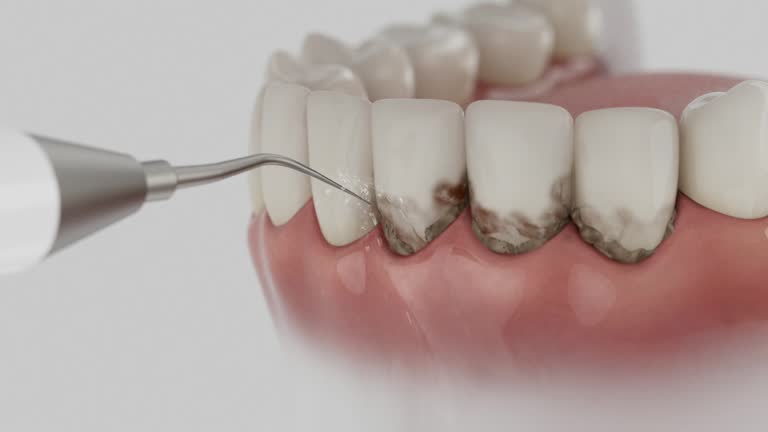 Reliable Dental contractor in Fort Polk North, LA by Dentist Open Now